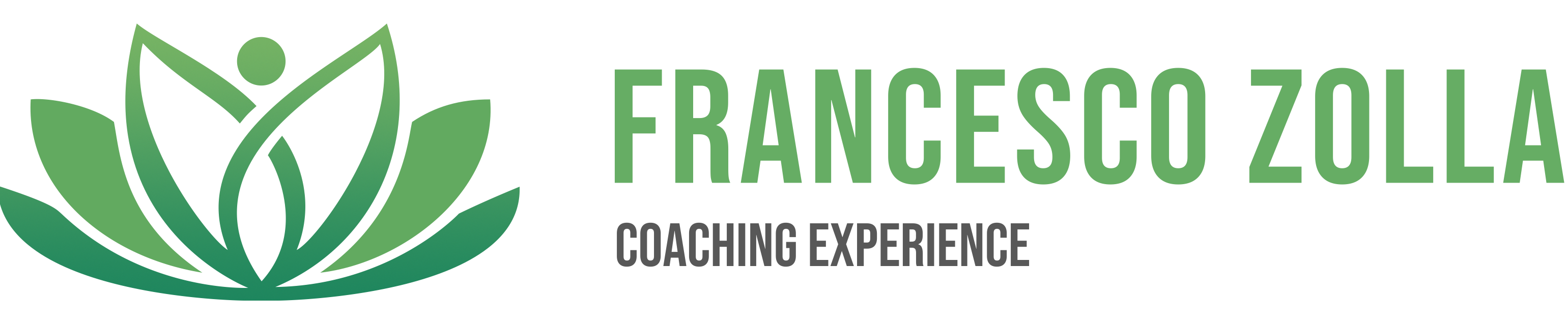 Francesco Zolla — Coaching experience